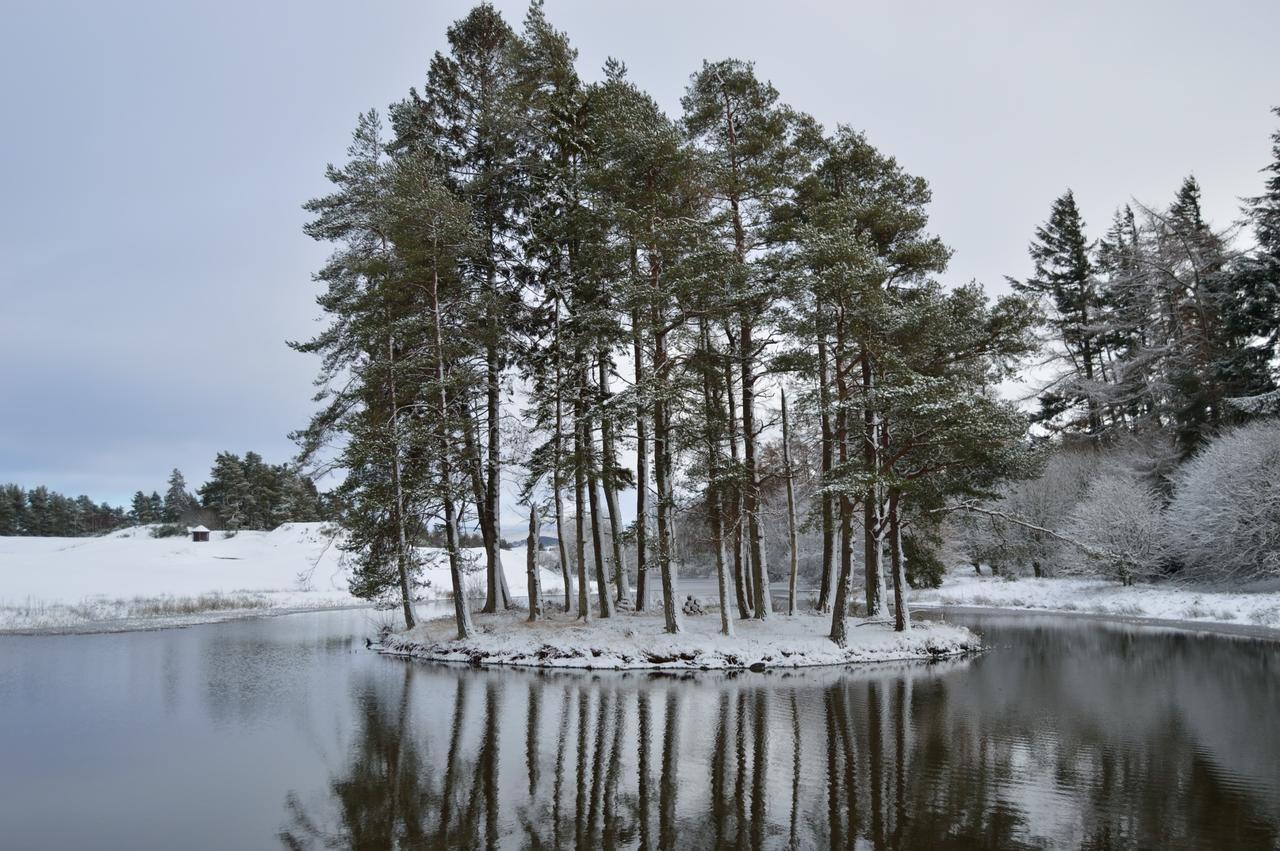 The Pines - Luxury 3-Bed Apartment Near Golf & Spa, Gleneagles, Охтерардър Екстериор снимка